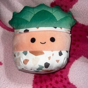 NWOT Abena the succulent 8” squishmallow